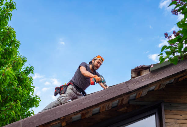 Best Roof Maintenance  in Hart, MI
