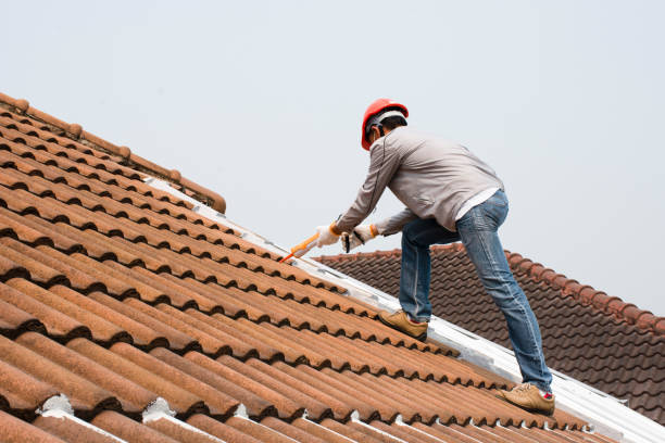 Best Roof Coating and Sealing  in Hart, MI