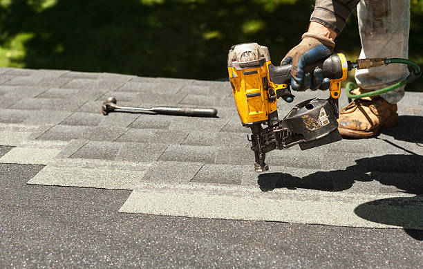 Best Asphalt Shingle Roofing  in Hart, MI
